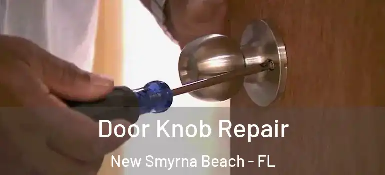  Door Knob Repair New Smyrna Beach - FL