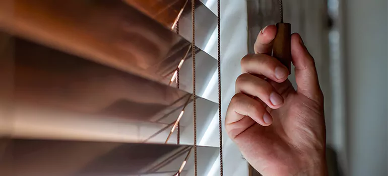 Double Roller Blinds in New Smyrna Beach, FL