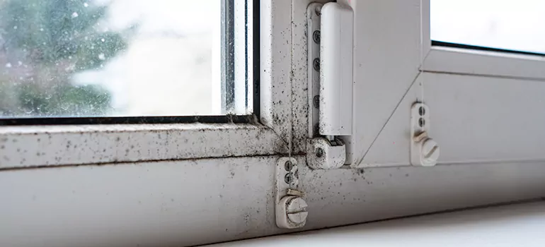 New Smyrna Beach, FL