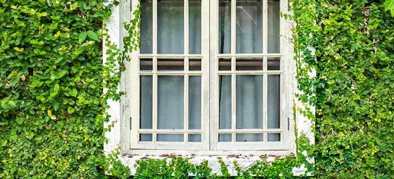 Garden Window Repair Near Me in New Smyrna Beach, FL