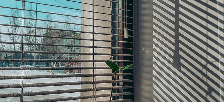 Commercial Window Blinds in New Smyrna Beach, FL