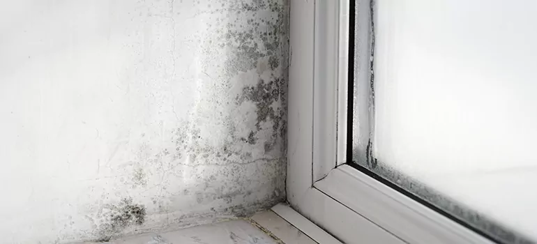 New Smyrna Beach, FL